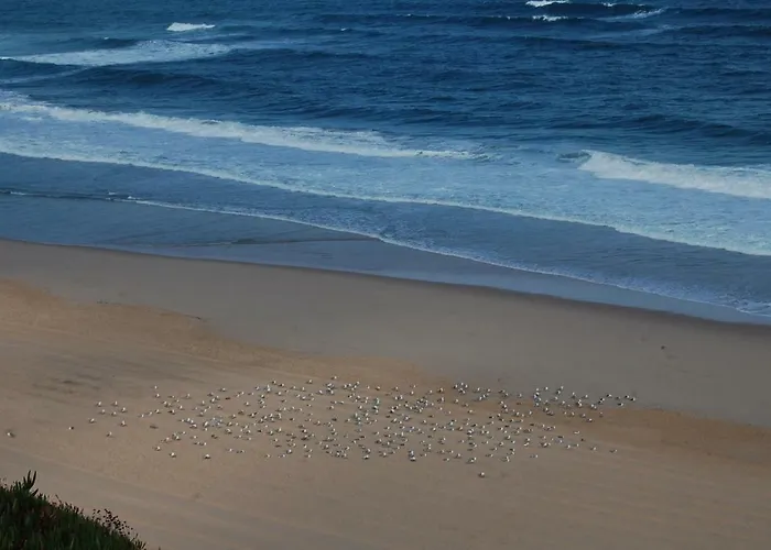 Villa Santa Cruz Ocean View